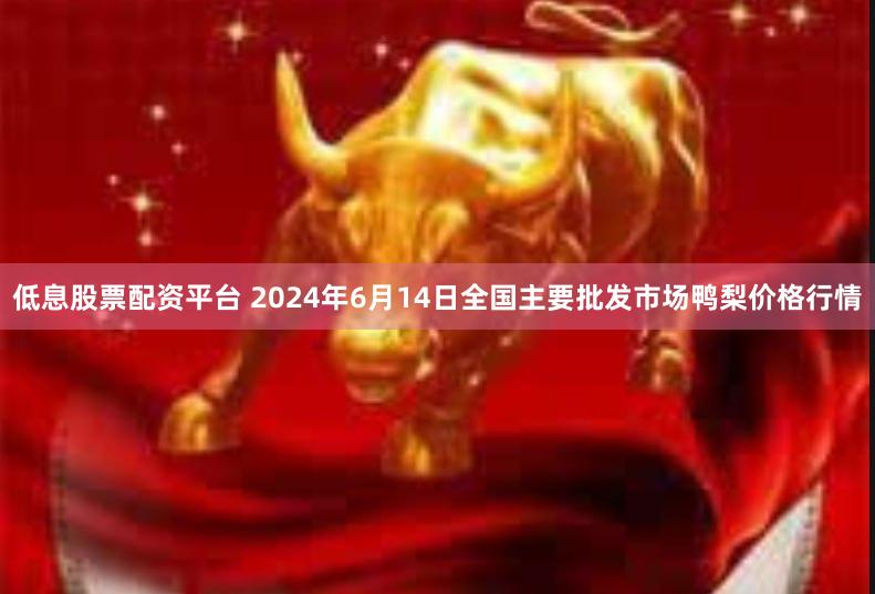 低息股票配资平台 2024年6月14日全国主要批发市场鸭梨价格行情