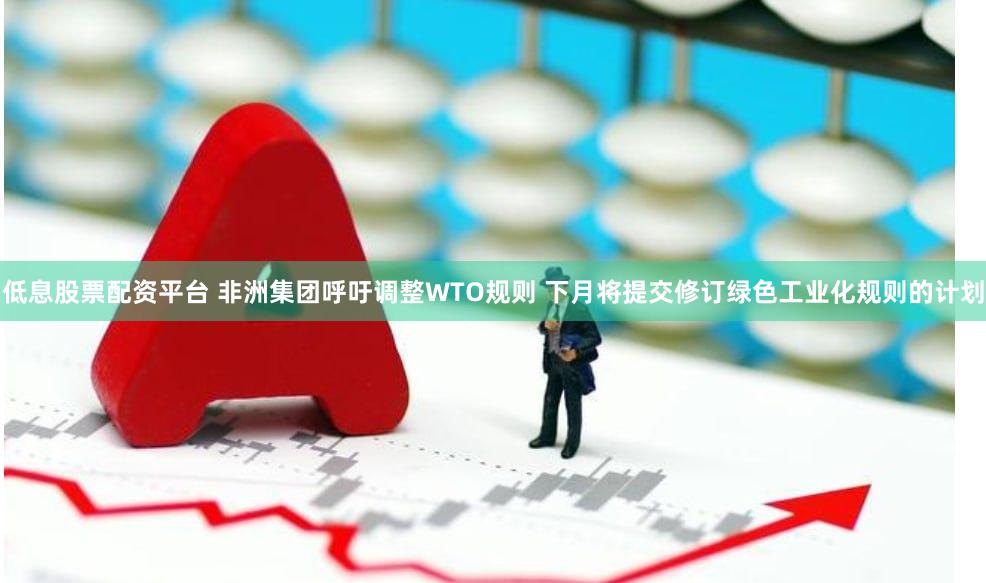 低息股票配资平台 非洲集团呼吁调整WTO规则 下月将提交修订绿色工业化规则的计划
