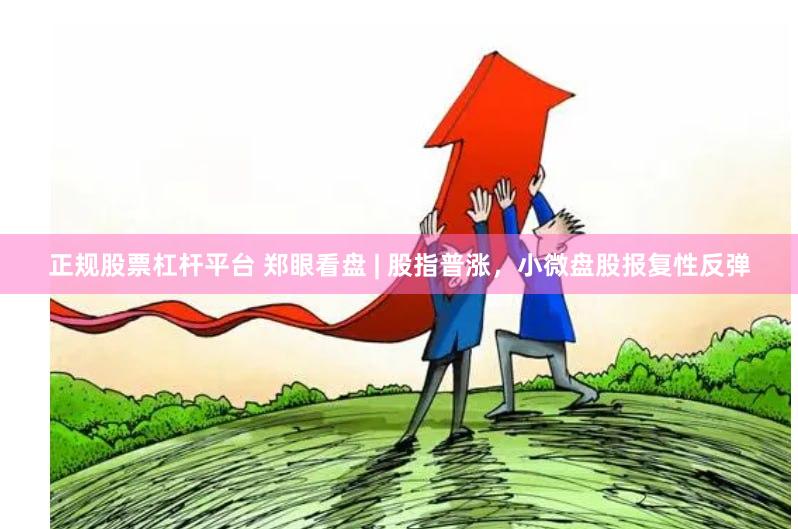 正规股票杠杆平台 郑眼看盘 | 股指普涨，小微盘股报复性反弹