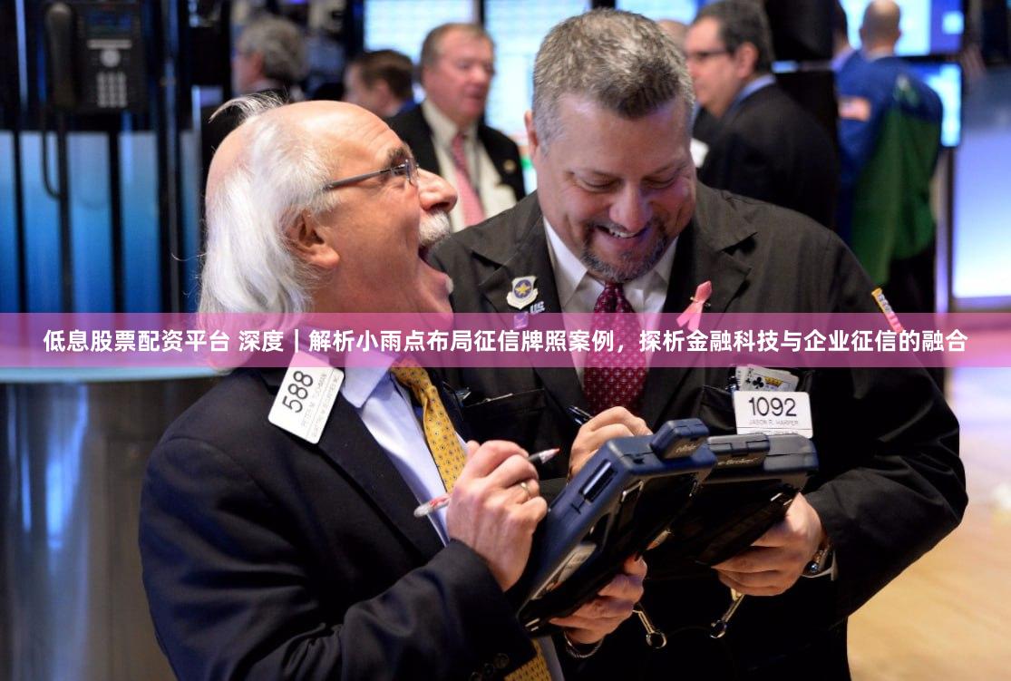 低息股票配资平台 深度｜解析小雨点布局征信牌照案例，探析金融科技与企业征信的融合