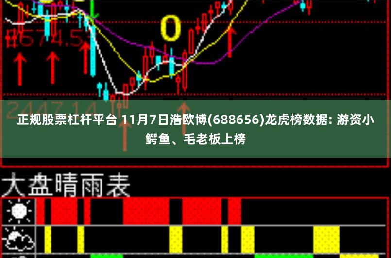 正规股票杠杆平台 11月7日浩欧博(688656)龙虎榜数据: 游资小鳄鱼、毛老板上榜