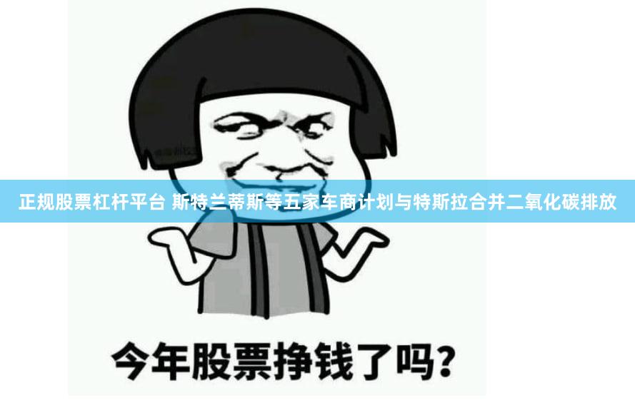 正规股票杠杆平台 斯特兰蒂斯等五家车商计划与特斯拉合并二氧化碳排放